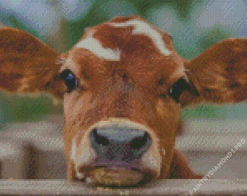 Baby Cow Diamond Painting