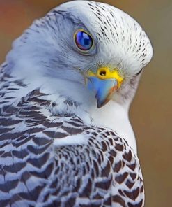 Beautiful Falcon Bird Diamond Painting