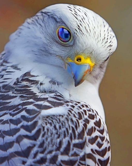 Beautiful Falcon Bird Diamond Painting