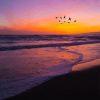 Birds Flying At Sunset Diamond Painting