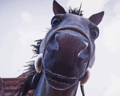 Black Horse Selfie Diamond Painting