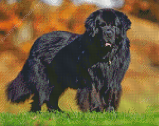 Black Newfoundland Dog Diamond Painting