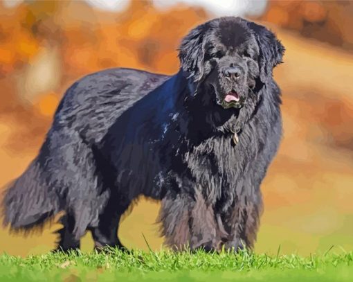 Black Newfoundland Dog Diamond Painting