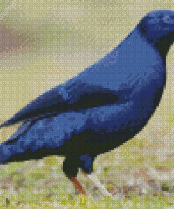 Blue Bowerbird Diamond Painting