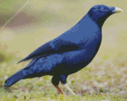 Blue Bowerbird Diamond Painting