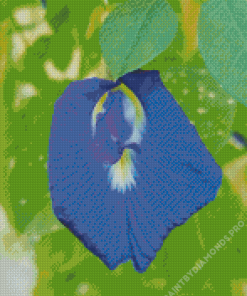 Blue Pea Flower Diamond Painting