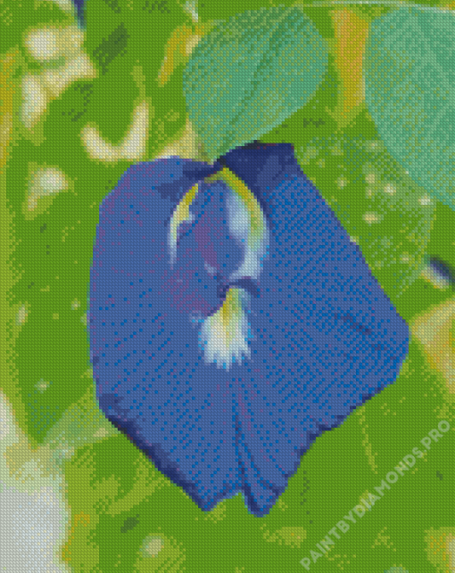 Blue Pea Flower Diamond Painting