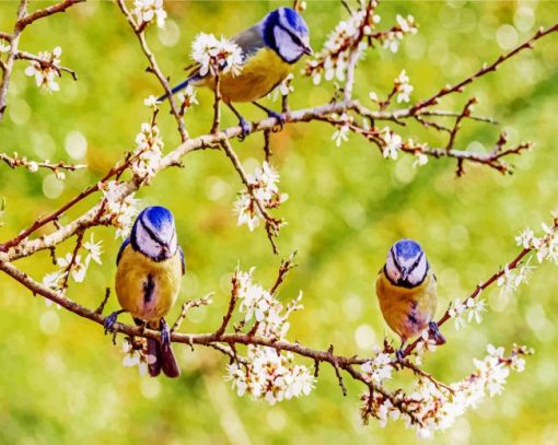 Blue Tit Birds Diamond Painting