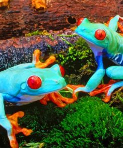 Bright Colored Frogs Diamond Painting