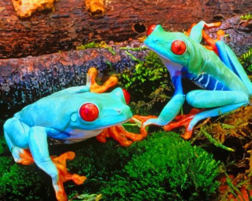 Bright Colored Frogs Diamond Painting