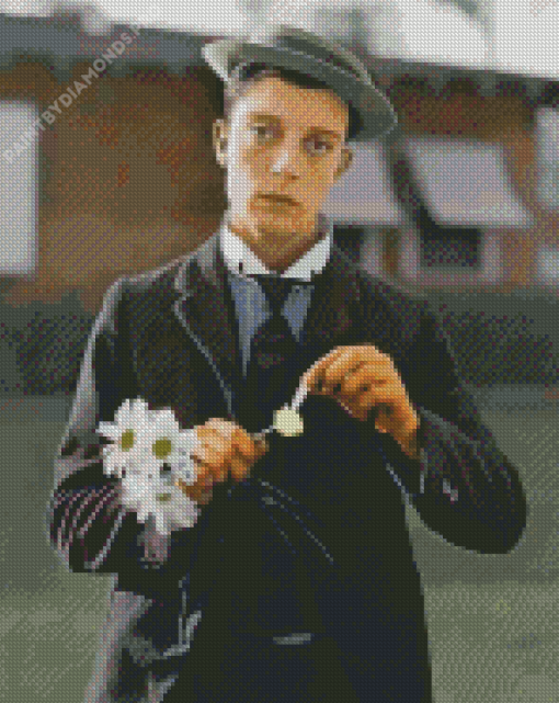 Buster Keaton And Flower Diamond Painting