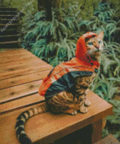 Cat Wearing Clothes Diamond Painting