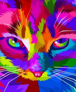 Colorful Cat Diamond Painting