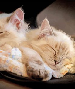 Cute Kittens Sleeping Diamond Painting