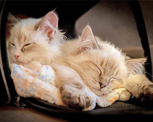 Cute Kittens Sleeping Diamond Painting