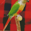 Green Cheek Conure Diamond Painting