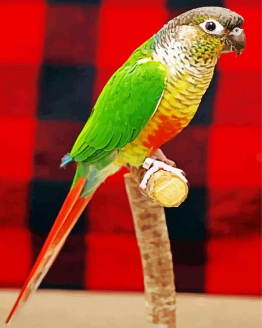 Green Cheek Conure Diamond Painting