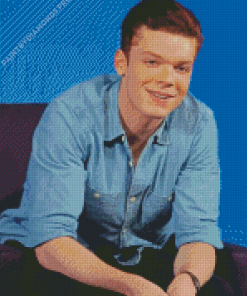 Handsome Cameron Monaghan Diamond Painting