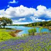 Great Hill Country Texas Diamond Painting