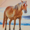 Horse At Beach Diamond Painting