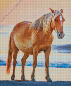 Horse At Beach Diamond Painting