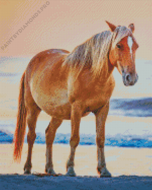 Horse At Beach Diamond Painting