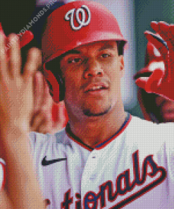 Juan Soto Diamond Painting