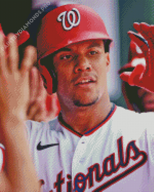 Juan Soto Diamond Painting