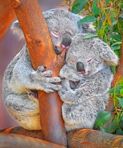 Koala Bears On Tree Diamond Painting