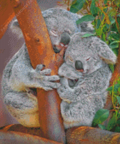 Koala Bears On Tree Diamond Painting