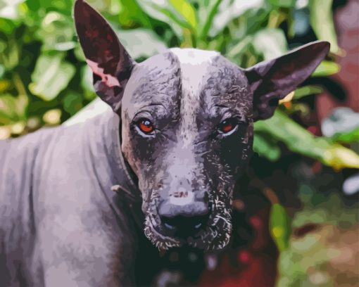 Mexican Hairless Dog Diamond Painting