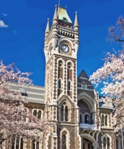 Otago University Diamond Painting