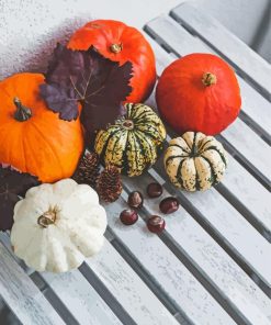 Pumpkins With Autumn Decorations Diamond Painting