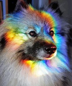 Rainbow Dog Diamond Painting