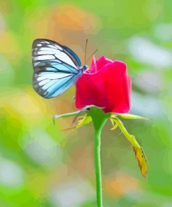 Red Rose And Butterfly Diamond Painting