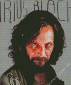 Sirius Black Diamond Painting