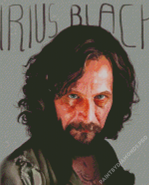 Sirius Black Diamond Painting