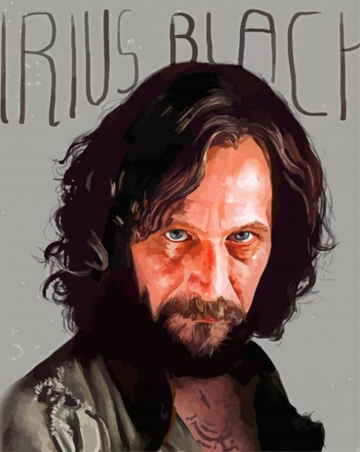 Sirius Black Diamond Painting