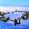 Skydiving Teamwork Diamond Painting