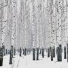 Snowy Aspen Trees Diamond Painting