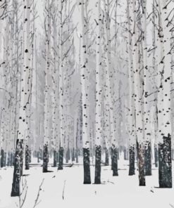 Snowy Aspen Trees Diamond Painting