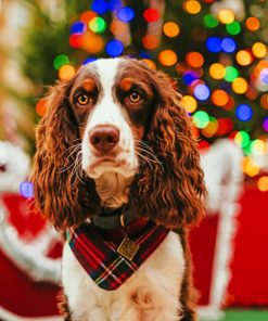 Springer Spaniel Dog Diamond Painting