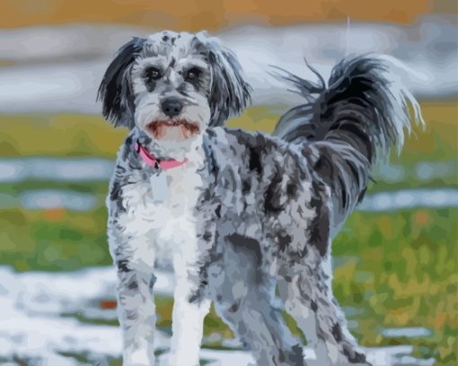 The Aussiedoodle Diamond Painting