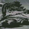 Tree By Ansel Adams Diamond Painting