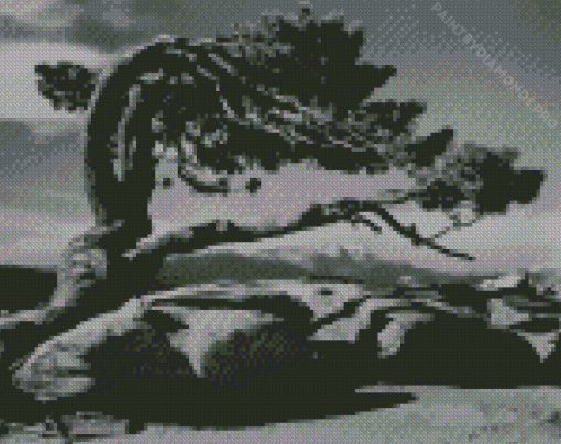 Tree By Ansel Adams Diamond Painting