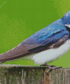 Tree Swallow Diamond Painting