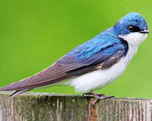 Tree Swallow Diamond Painting