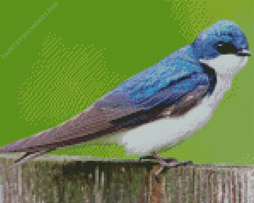 Tree Swallow Diamond Painting