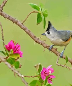 Tufted Titmouse Bird Diamond Painting