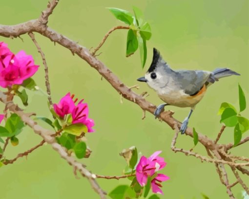 Tufted Titmouse Bird Diamond Painting